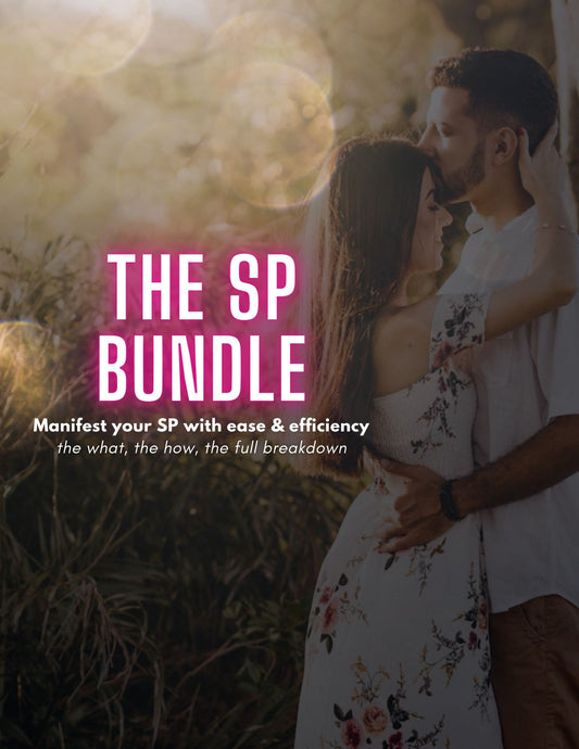 1. The SP Bundle