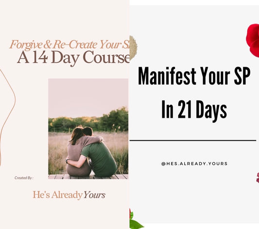 Forgive & Re-Create Your SP - A 14 Day Course + Manifest Your SP In 21 Days