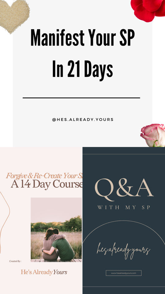 All 3 Bundle - Forgive & Re-Create Your SP - A 14 Day Course + Manifest Your SP In 21 Days + Q&A With My SP